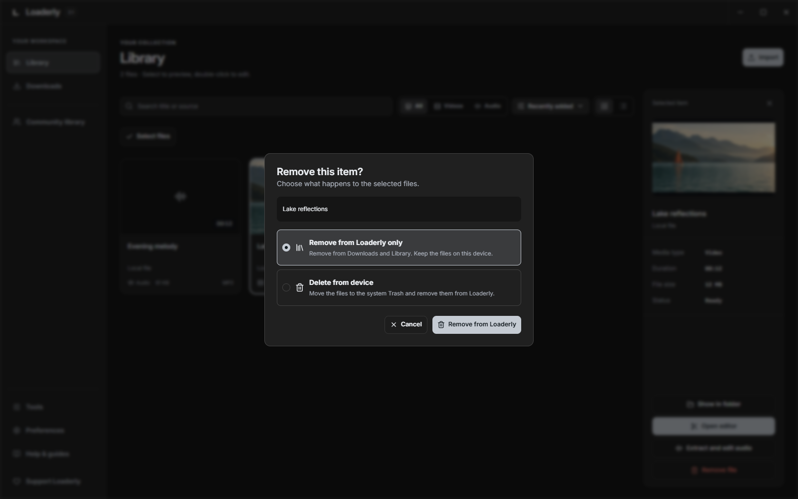 Remove an entry or its file