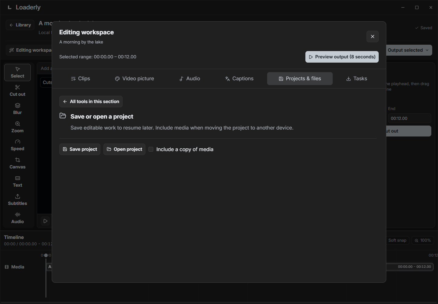 Projects, versions and previews